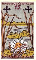 The Nile-Cabbage, meaning of Lenormand Horoscope Card