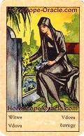 Fortune Tarot the widow meaning