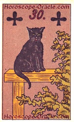 Tomorrow's horoscope Aries the cat