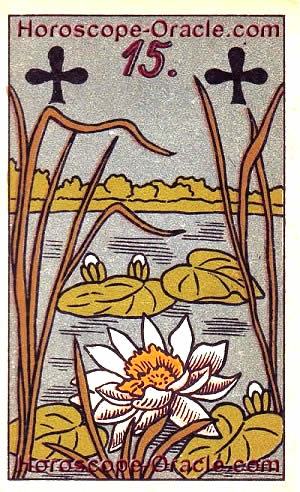 Lenormand Horoscope card the nile cabbage