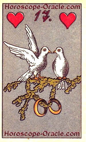 Tomorrow's horoscope Capricorn the pigeons
