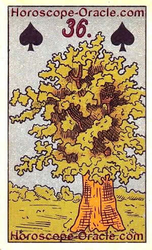 Lenormand Horoscope card The tree