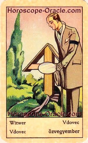 Horoscope tarot card the widower