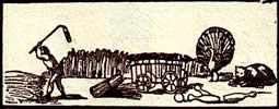 Tarot meaning the mice