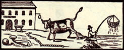 Tarot meaning the fox