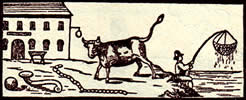 Tarot meaning the pig