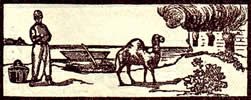 Tarot meaning the path