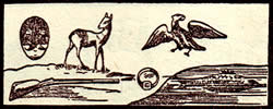 Tarot meaning the lightning