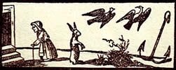 Tarot meaning the birds