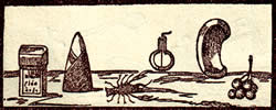 Tarot meaning the gentleman